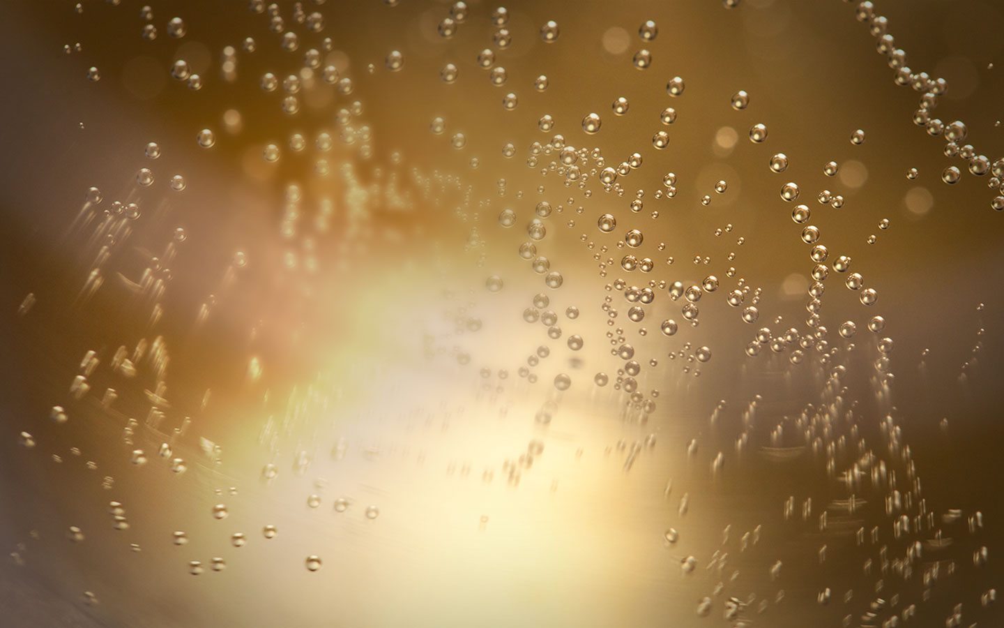 Accueil Champagne Pol Roger